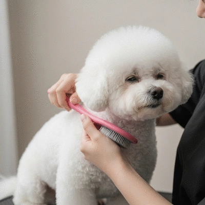 Dog being gently groomed with a brush